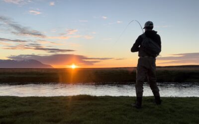 Mýrarkvísl in Reykjahverfi (Trout, Char & Salmon Fishing)