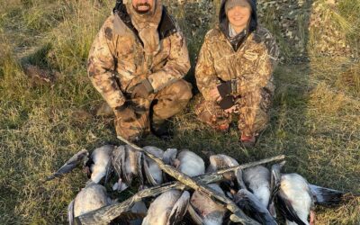 Greylag Goose Hunting