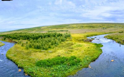 A Memorable 2024 Fishing Season on the Reykjadalsá: Salmon, Trout, char and a Renovated Lodge