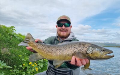 Best flies for Laxá in Aðaldal trout beats