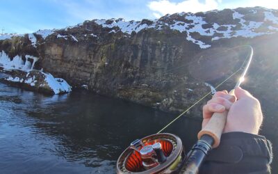 Great moments from a great season!