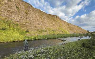 Featured availability