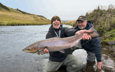 A Long Term Effort That’s Paying Off