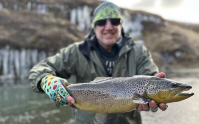 Iceland Fishing Guide’s 5 river combo special offer!