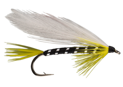 Black ghost streamer fly fishing fly