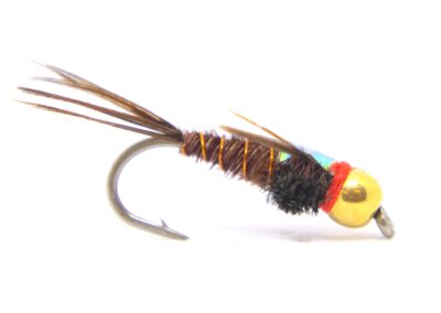 Pheasant tail with a wing case fly fishing fly