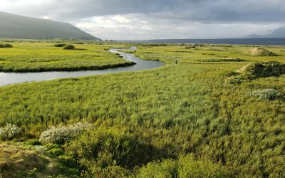 Eyindarlækur (Trout & Char fishing)