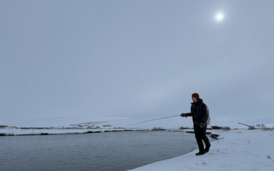 Strong start to the spring season